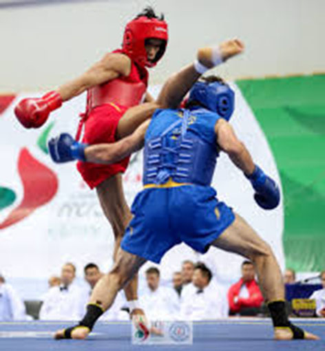 Wushu sanda one of the sports